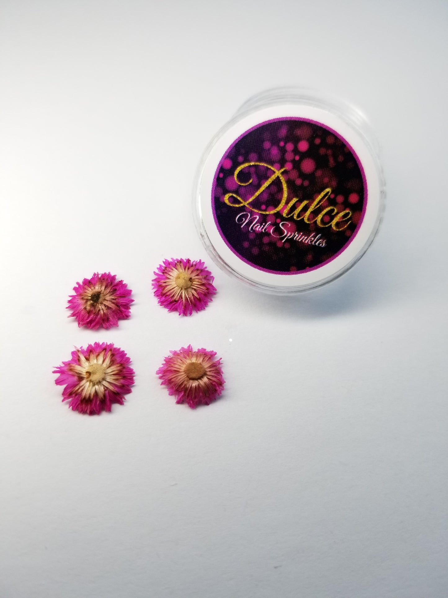 Pink dry flowers