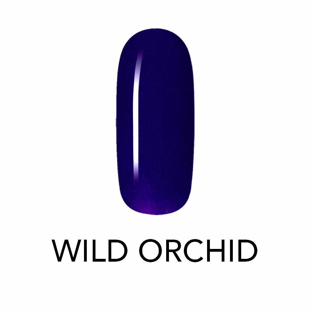 Wild Orchid